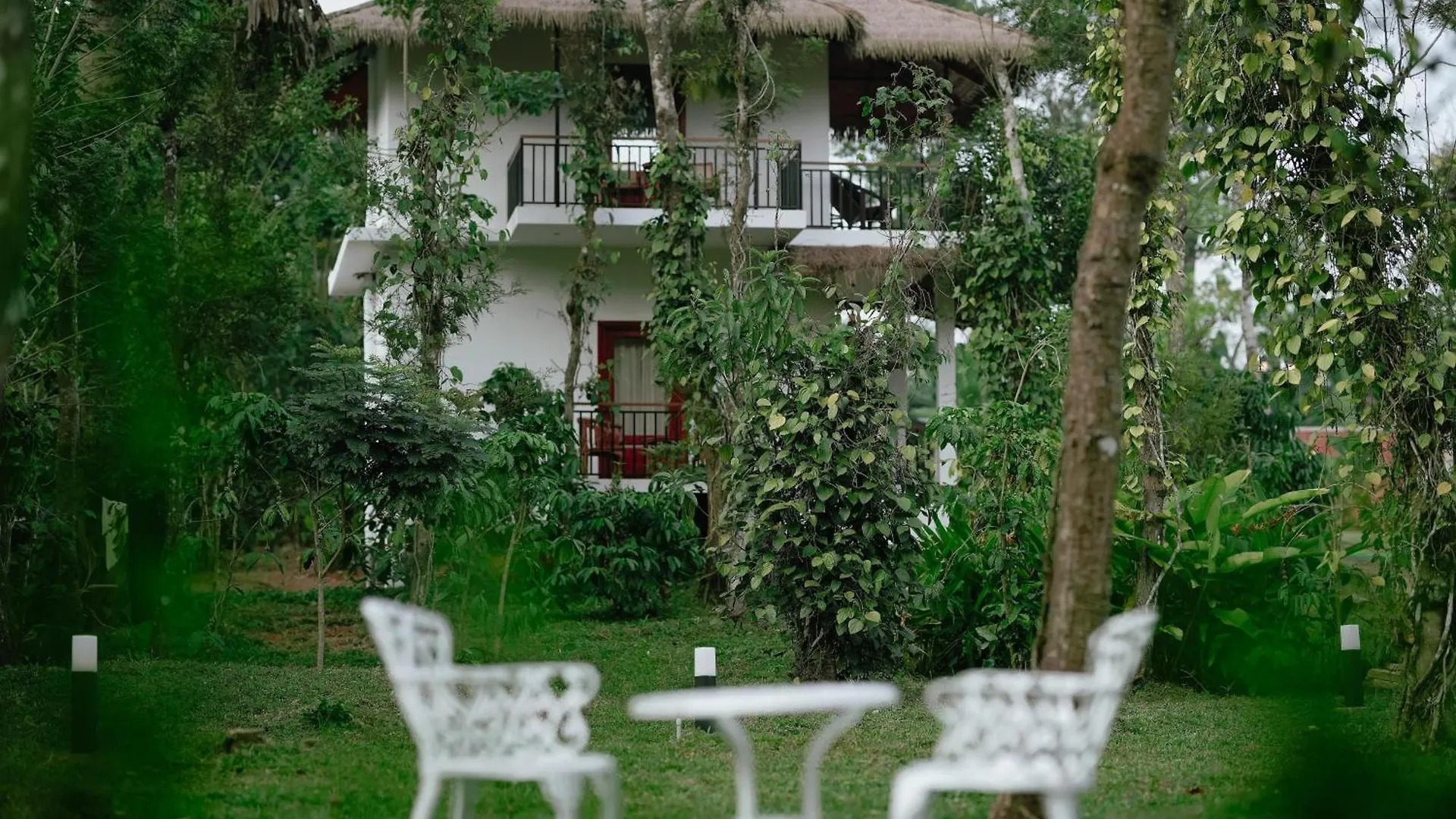Allison The Tribe Resort مانانثافادي
