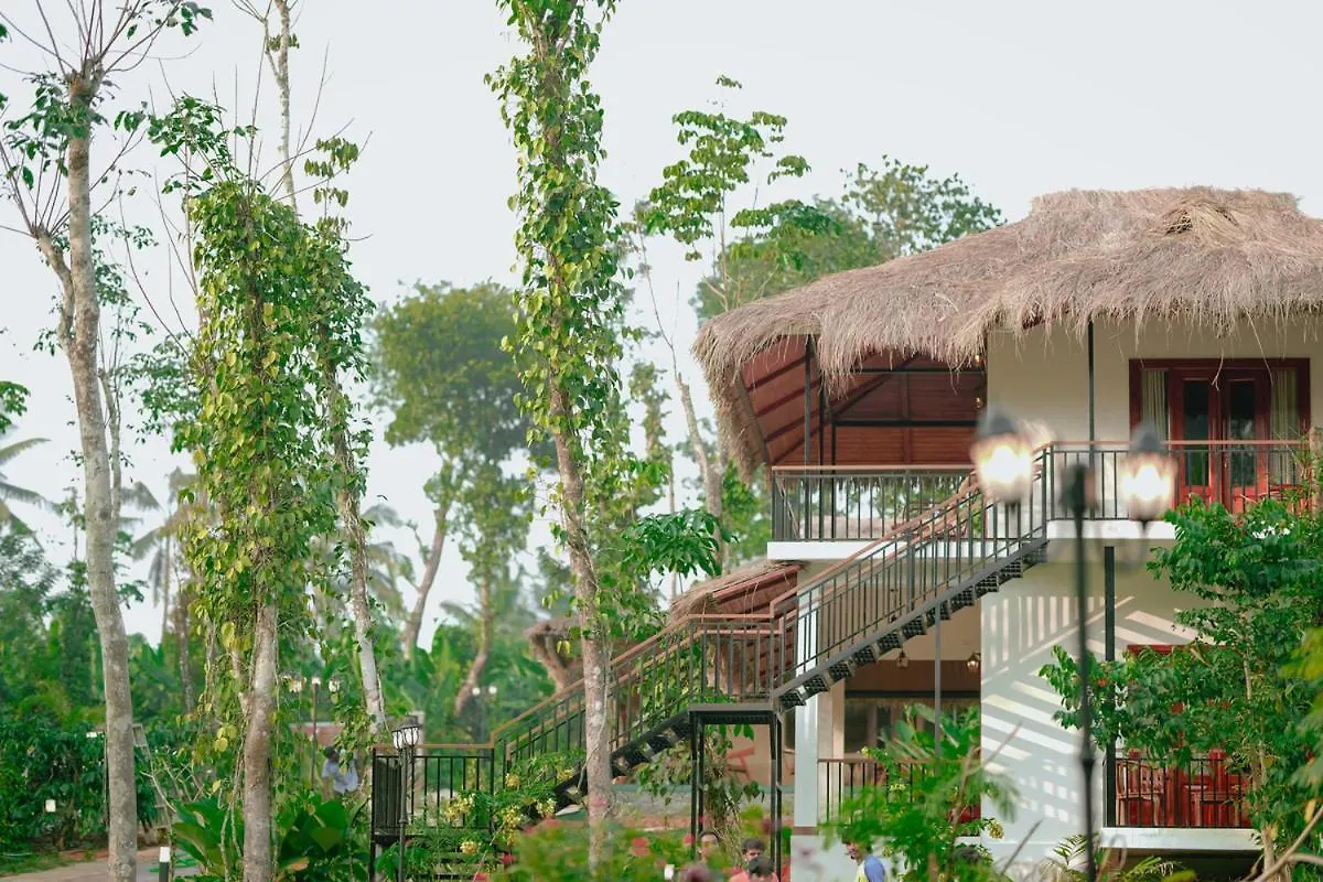 Allison The Tribe Resort مانانثافادي