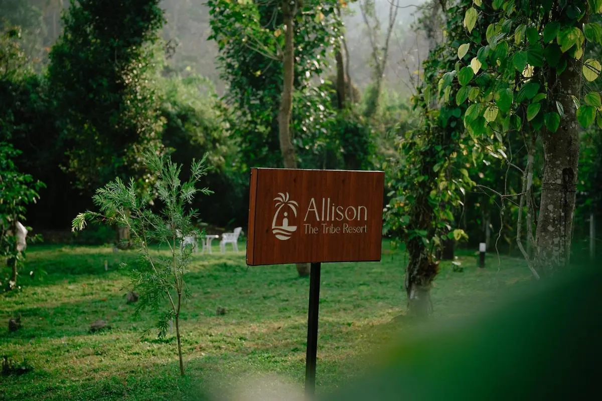 Allison The Tribe Resort مانانثافادي