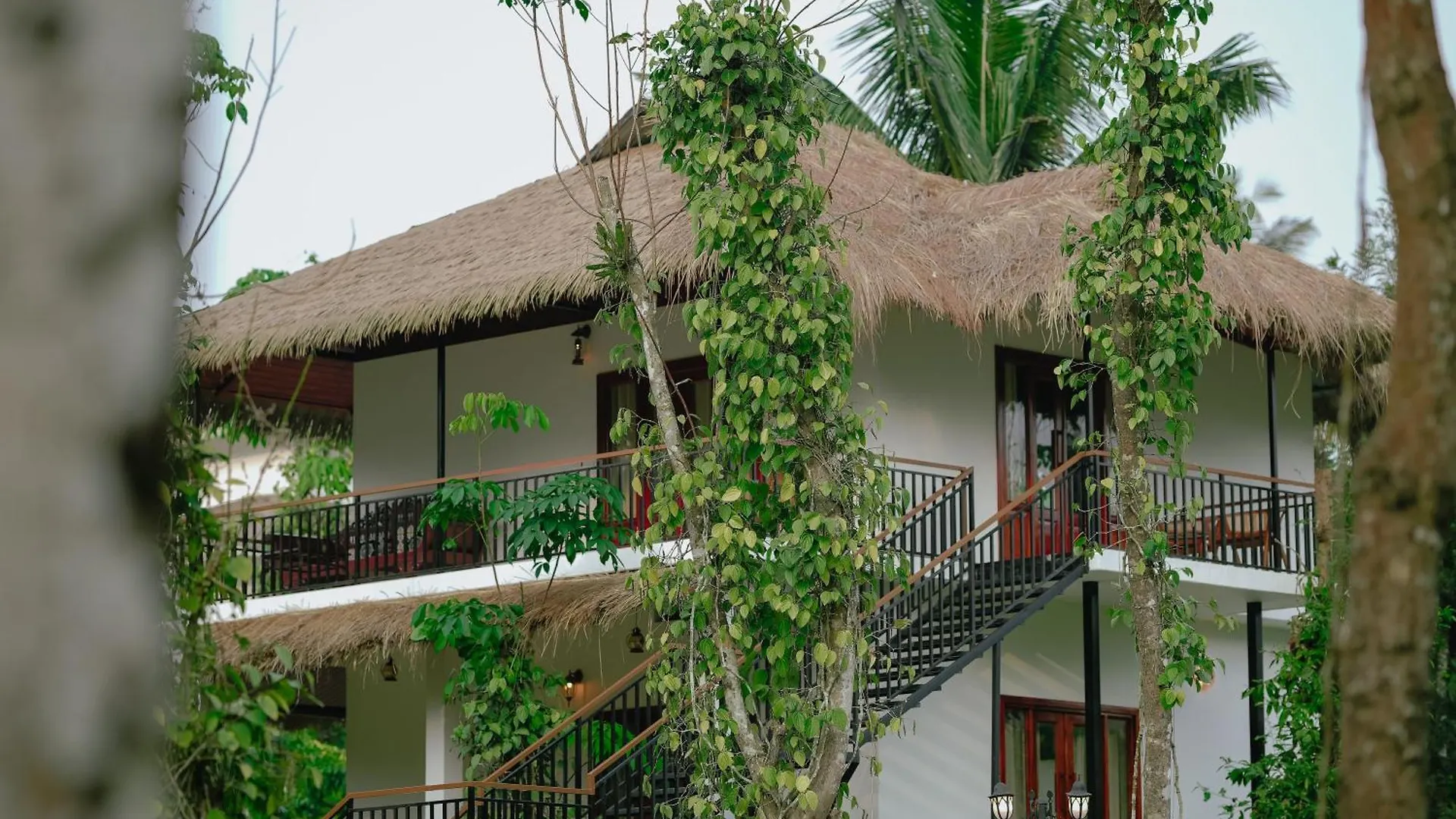 Allison The Tribe Resort مانانثافادي 0*,  الهند